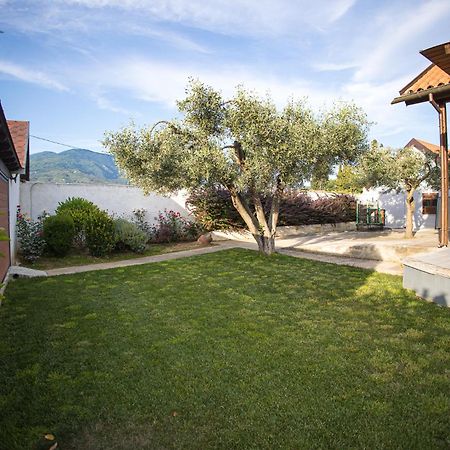 Káto Lekhónia Countryside Luxury Studios المظهر الخارجي الصورة